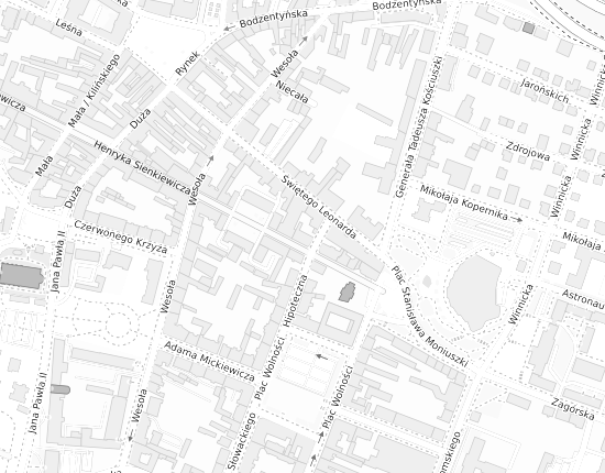 Mapa z adresem organizacji