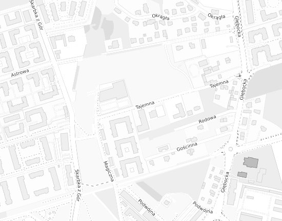 Mapa z adresem organizacji