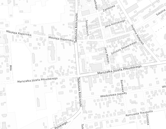 Mapa z adresem organizacji