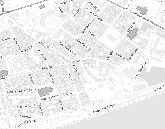 Mapa z adresem organizacji