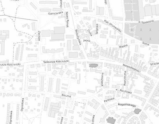 Mapa z adresem organizacji