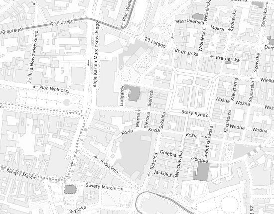 Mapa z adresem organizacji