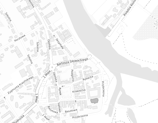 Mapa z adresem organizacji