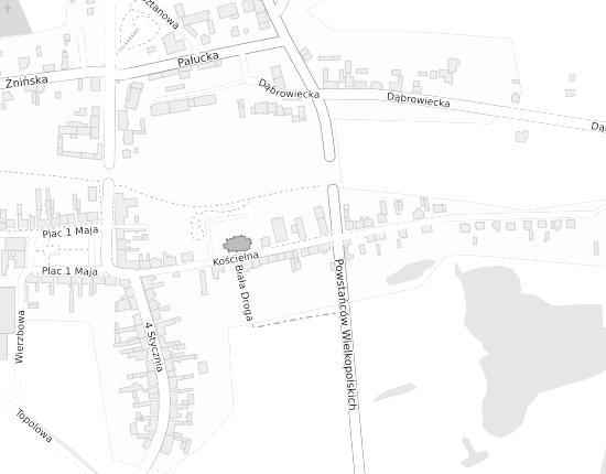 Mapa z adresem organizacji