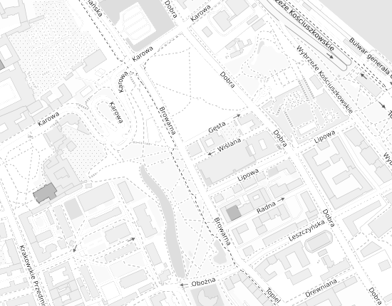 Mapa z adresem organizacji