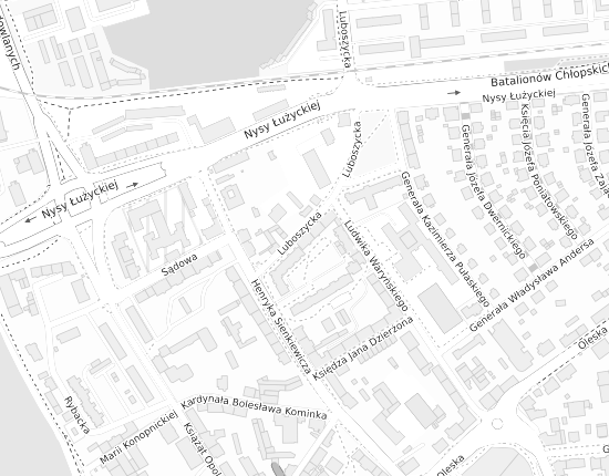 Mapa z adresem organizacji