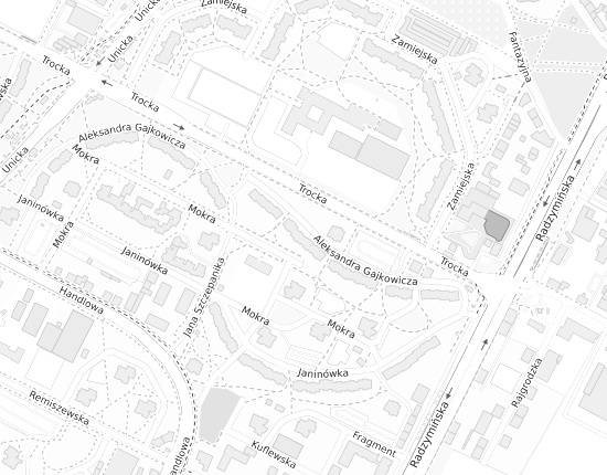 Mapa z adresem organizacji