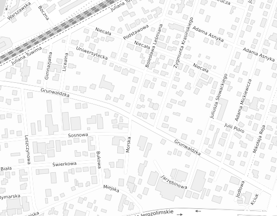 Mapa z adresem organizacji