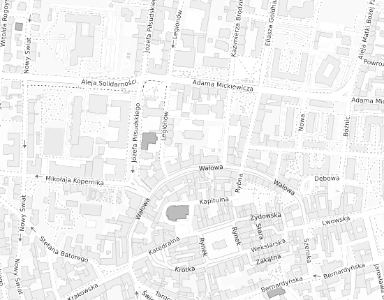 Mapa z adresem organizacji