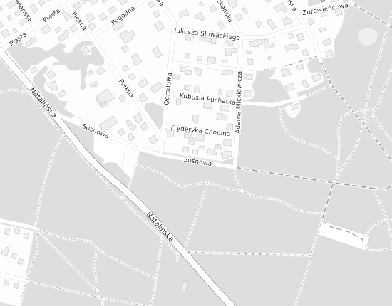 Mapa z adresem organizacji