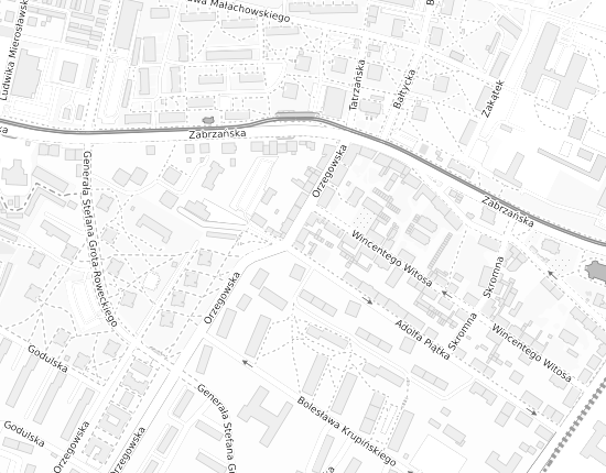 Mapa z adresem organizacji