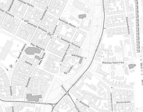 Mapa z adresem organizacji
