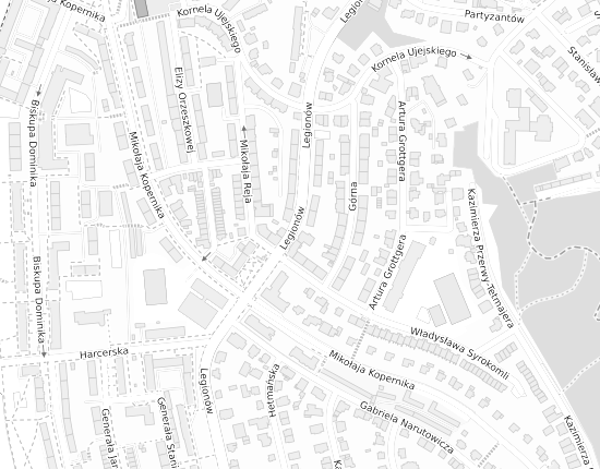 Mapa z adresem organizacji