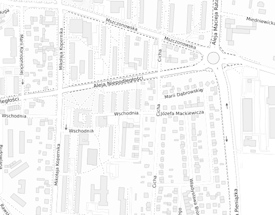 Mapa z adresem organizacji