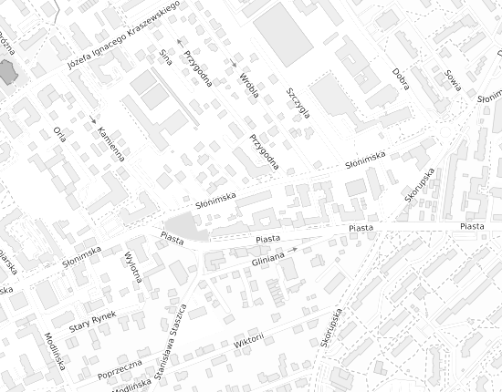 Mapa z adresem organizacji