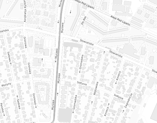Mapa z adresem organizacji