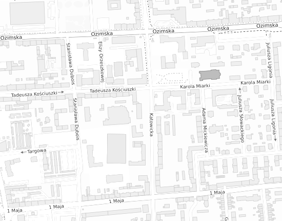 Mapa z adresem organizacji