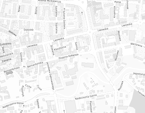 Mapa z adresem organizacji