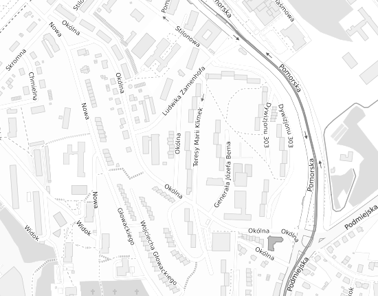 Mapa z adresem organizacji
