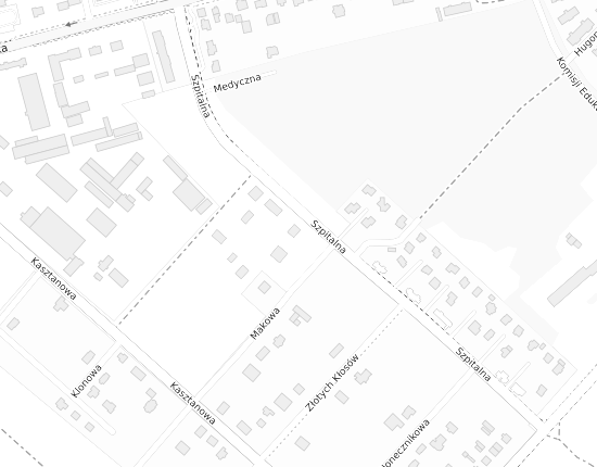 Mapa z adresem organizacji