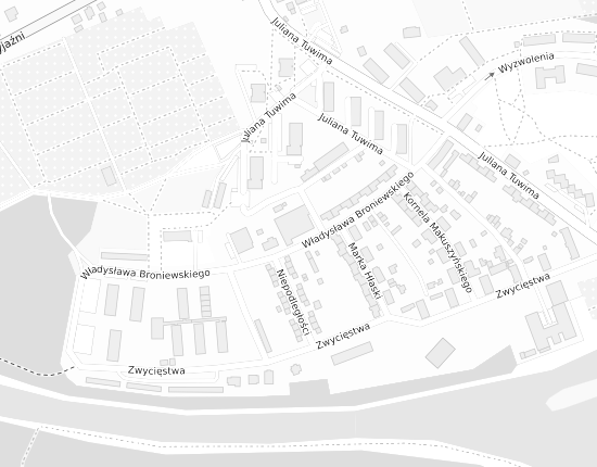 Mapa z adresem organizacji