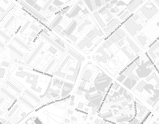 Mapa z adresem organizacji