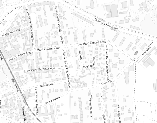 Mapa z adresem organizacji