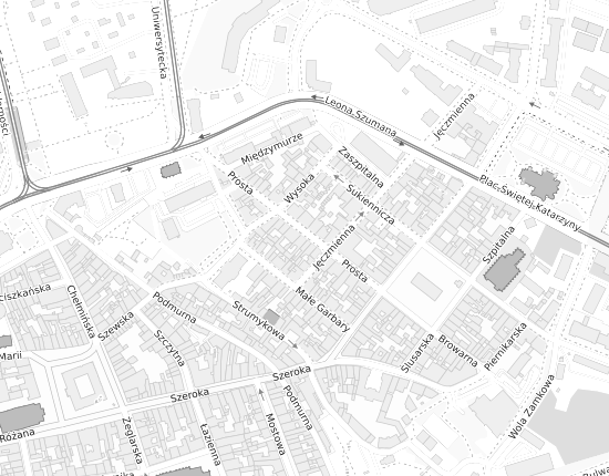 Mapa z adresem organizacji