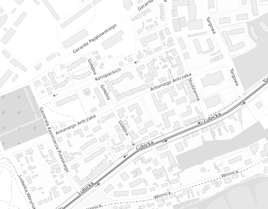 Mapa z adresem organizacji