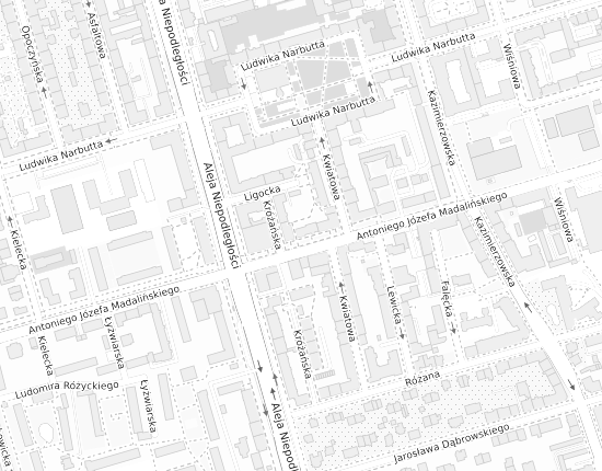 Mapa z adresem organizacji