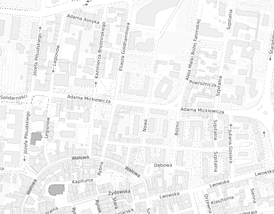 Mapa z adresem organizacji