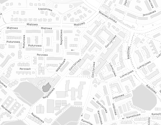 Mapa z adresem organizacji