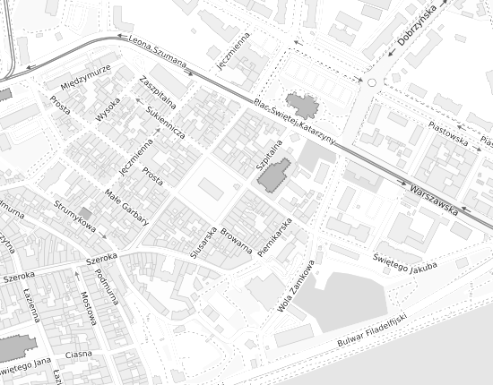 Mapa z adresem organizacji