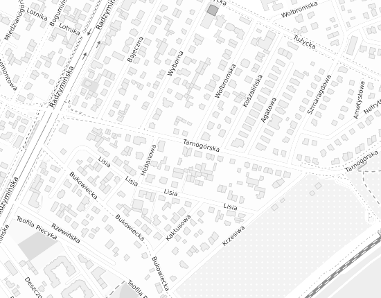 Mapa z adresem organizacji