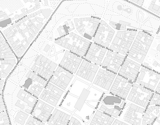 Mapa z adresem organizacji