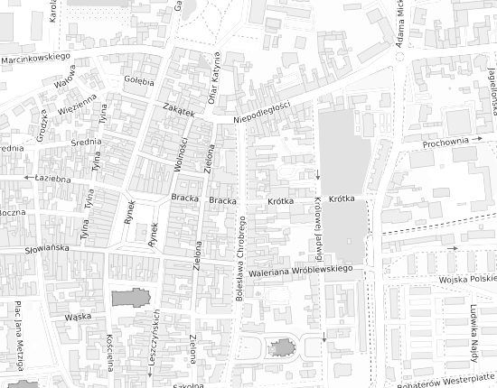 Mapa z adresem organizacji