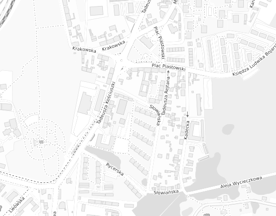 Mapa z adresem organizacji