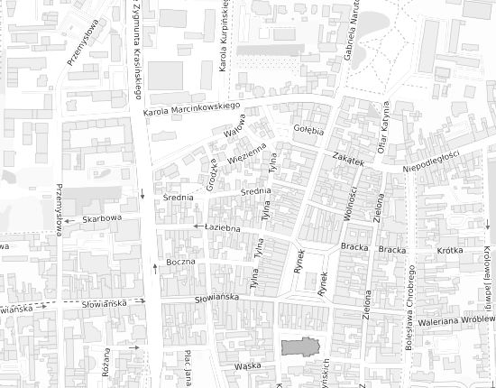Mapa z adresem organizacji