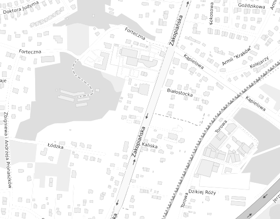Mapa z adresem organizacji