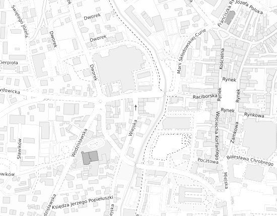 Mapa z adresem organizacji