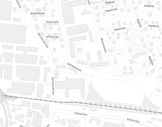 Mapa z adresem organizacji