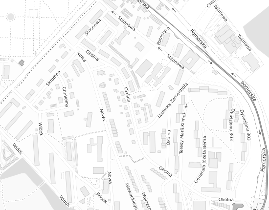 Mapa z adresem organizacji