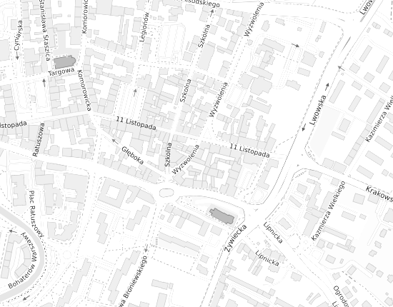 Mapa z adresem organizacji