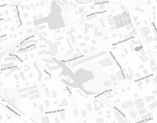 Mapa z adresem organizacji