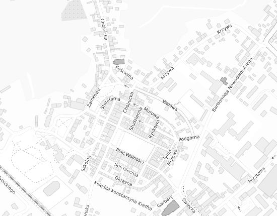 Mapa z adresem organizacji
