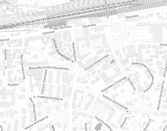 Mapa z adresem organizacji