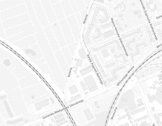 Mapa z adresem organizacji