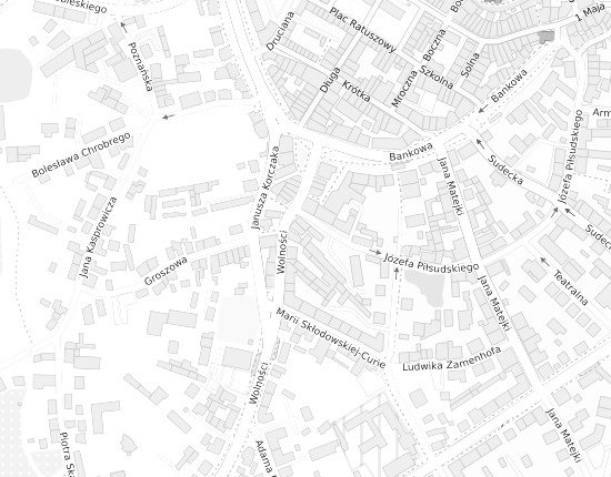 Mapa z adresem organizacji