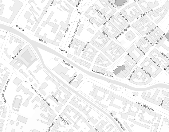 Mapa z adresem organizacji