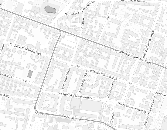 Mapa z adresem organizacji